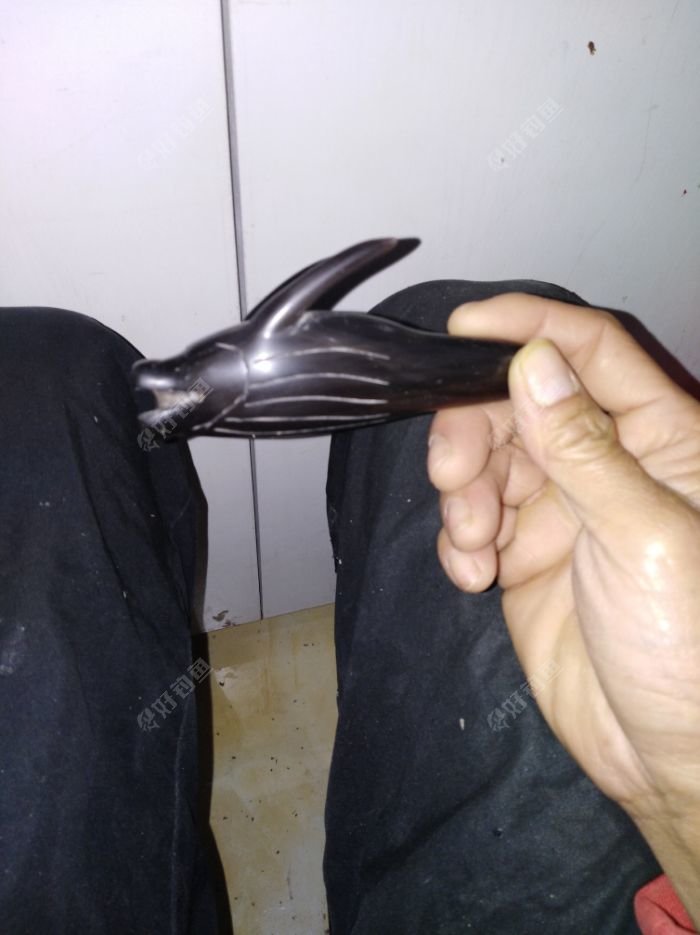 抛光完成,差眼睛,暂时无钻石安装,等支架和钻石到货,安装红宝石眼睛