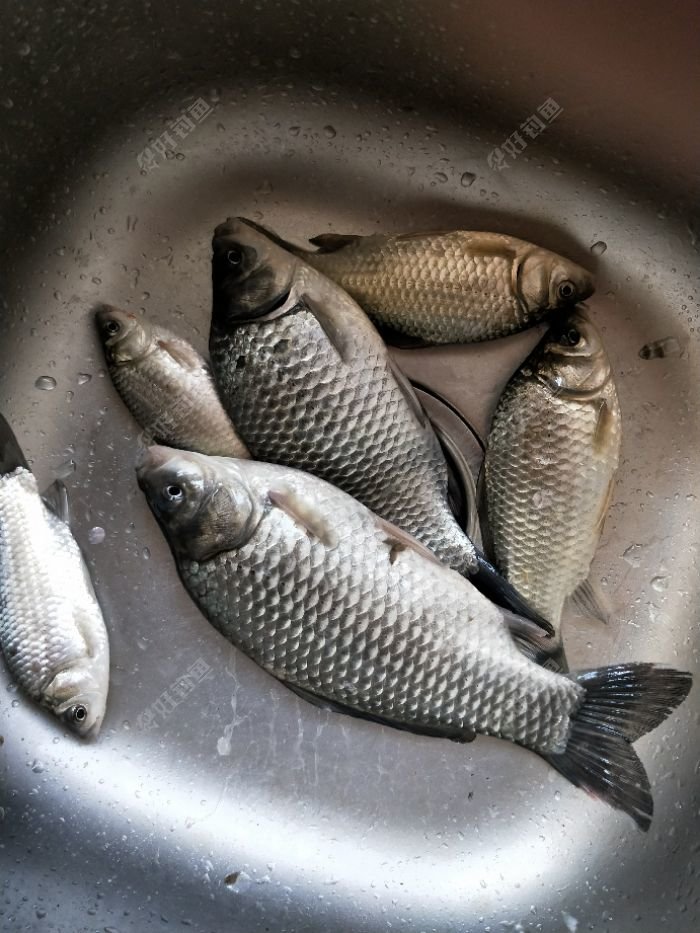 风大的双休日,生命在鱼运动 - 好钓鱼