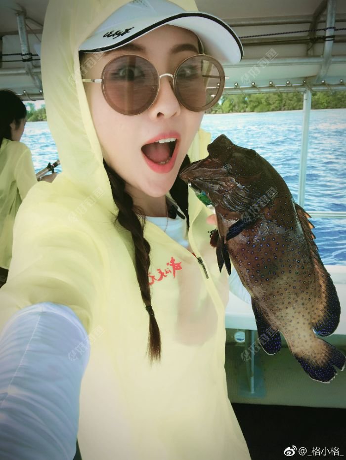 又可以看江湖行格小格了