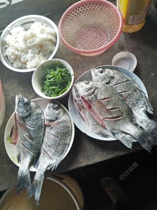 这样解毒好吗 - 好钓鱼