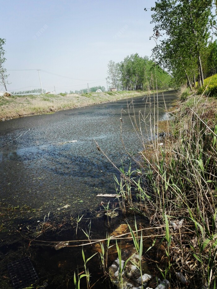 乡村野河小钓一会