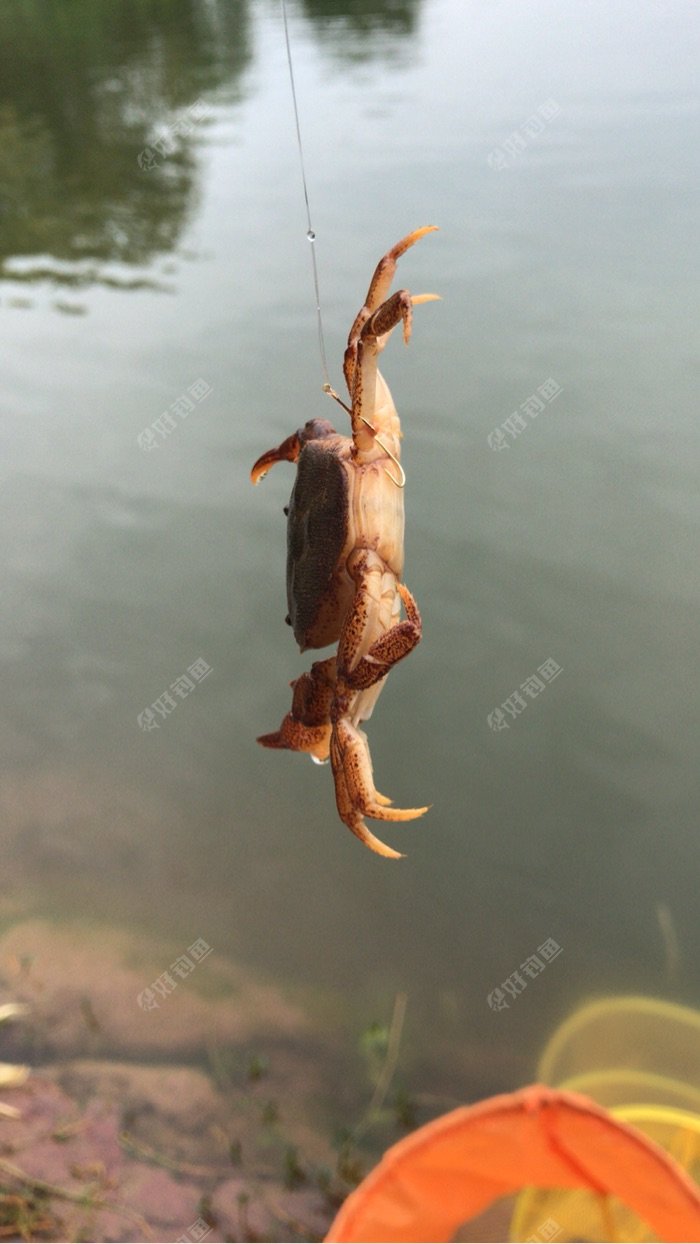 三岔湖钓螃蟹