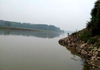 伊洛河香玉坝段