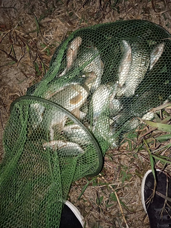 第一次白天的钓鱼